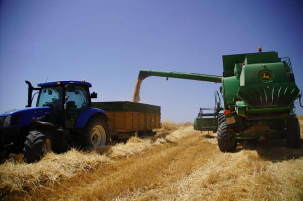 Sector Agrícola en Cañete la Real
