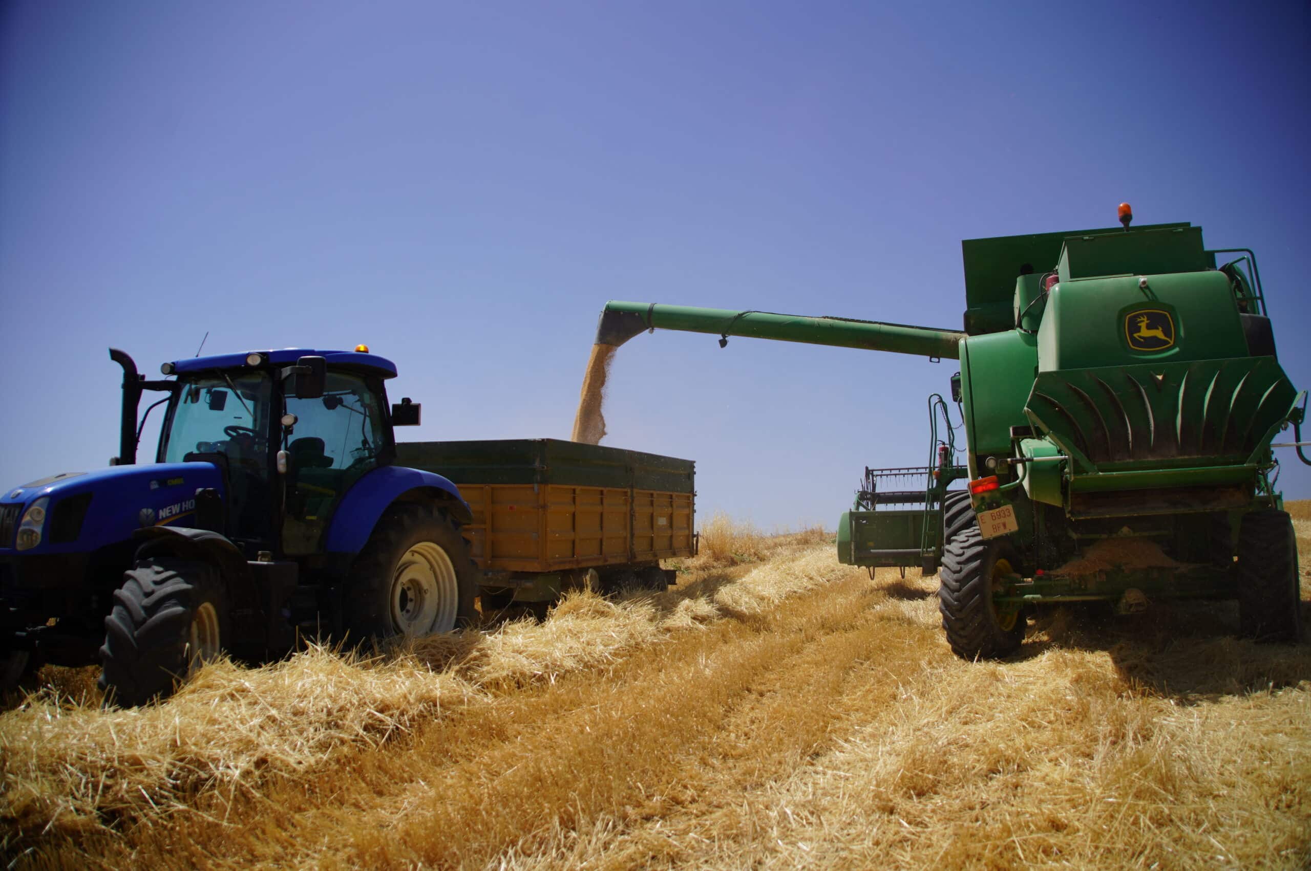 Sector Agrícola en Cañete la Real