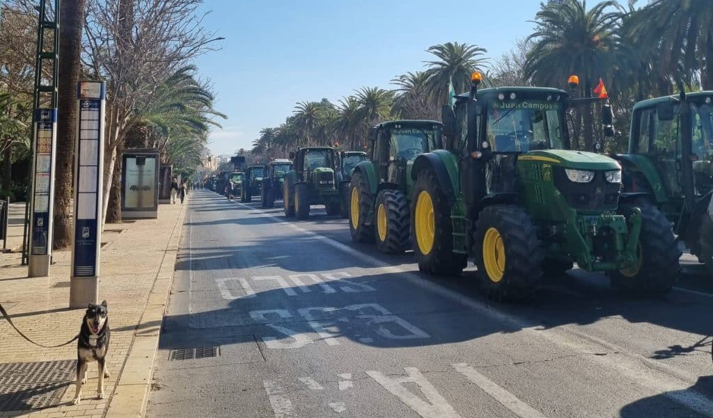 Reivindicación agricultores Cañete la Real