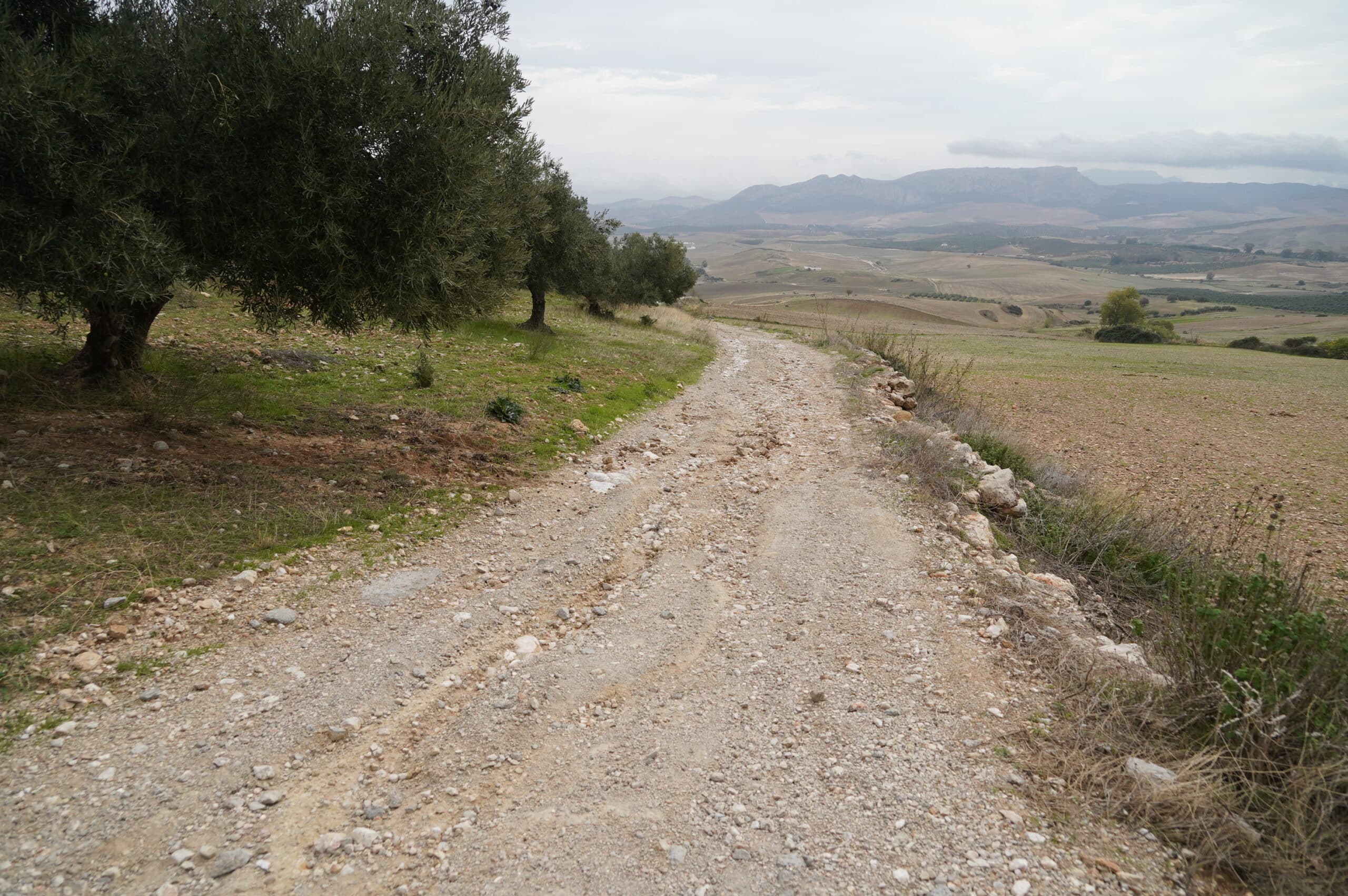 Cañete la Real, compromiso rural y apoyo ante la DANA.