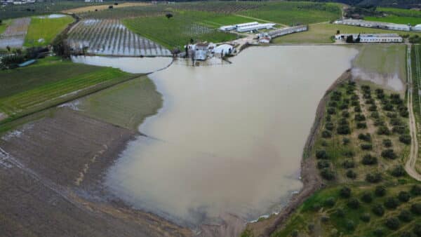 Cañate la Real Hace Balance de los Daños Causados por las Lluvias