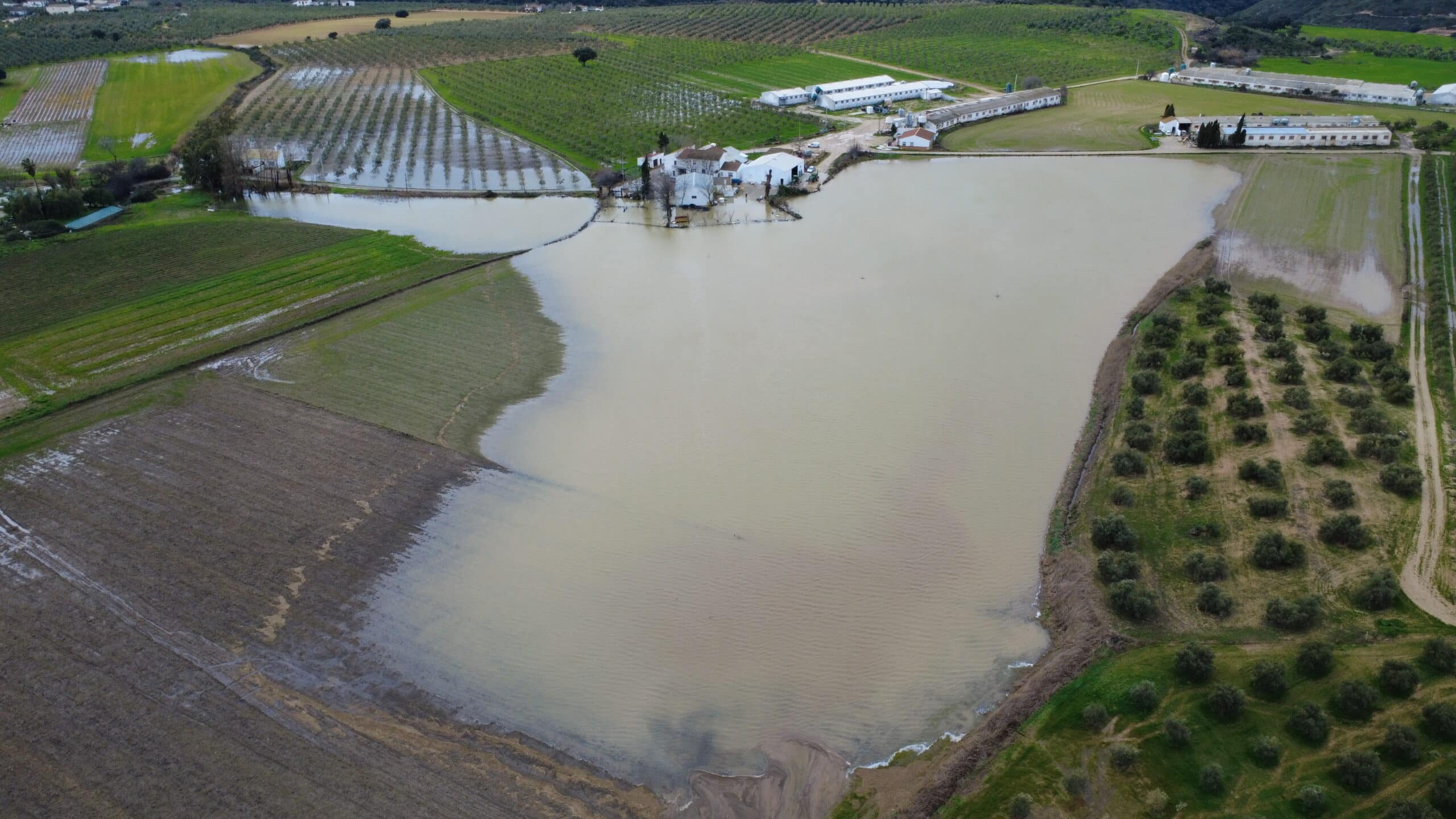 Cañate la Real Hace Balance de los Daños Causados por las Lluvias