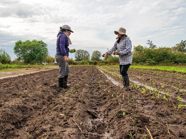Día de la Mujer Rural