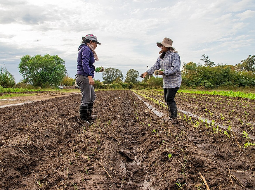 Día de la Mujer Rural