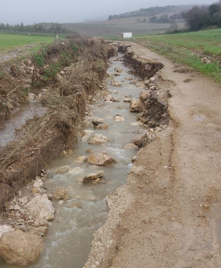 Cañate la Real Hace Balance de los Daños Causados por las Lluvias