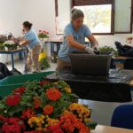 Formación y empleo en Cañete la Real